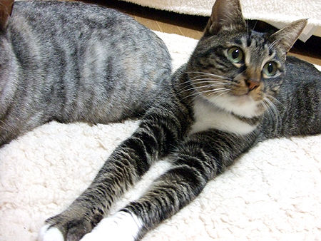 ���餿�ޤ������Ƥ������Ρ�