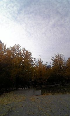 DVC00043
