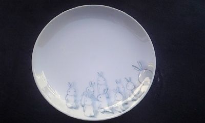 DVC00042