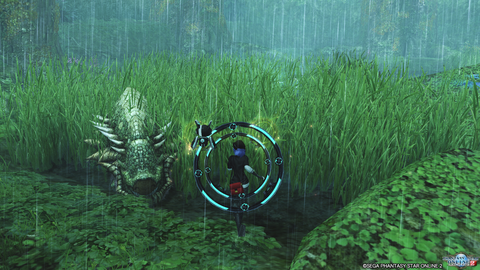 pso20180608_201529_007