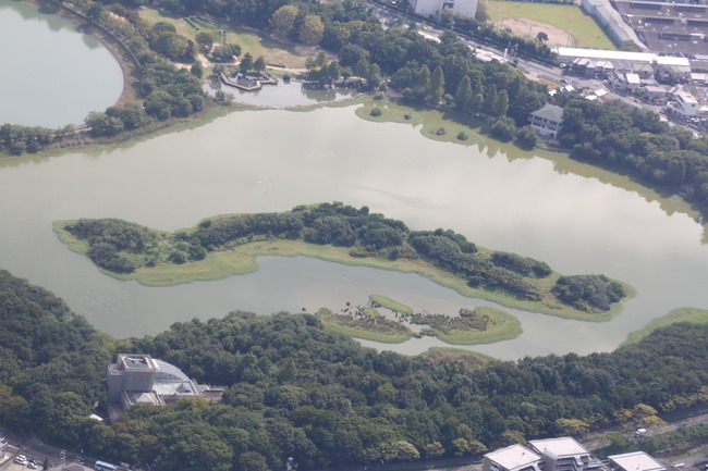 日本