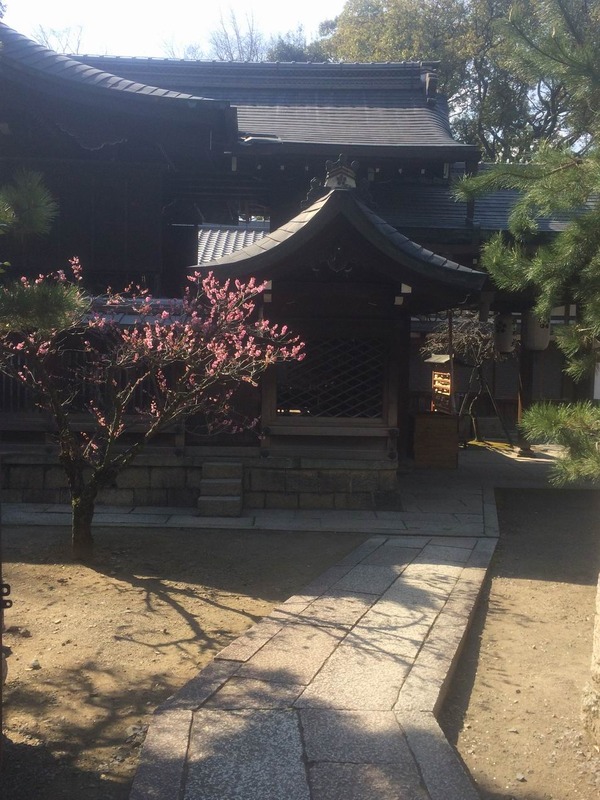 20140323_004926789_iOS