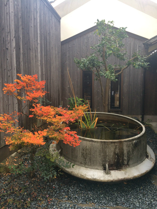 20161119_055529285_iOS