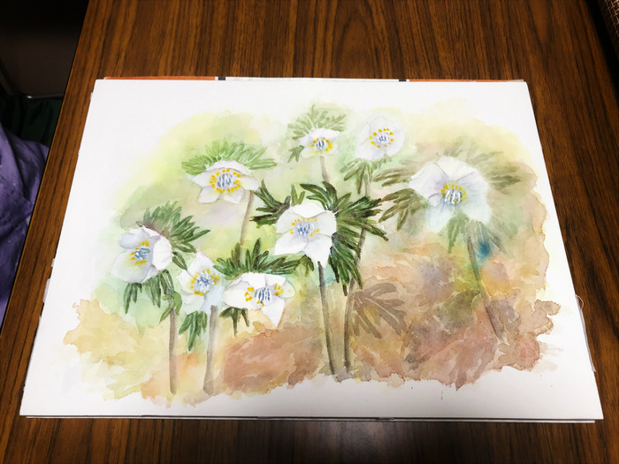 20190507生徒作品 (1)