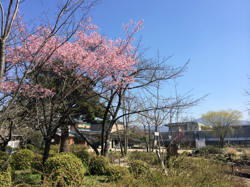 20160317_015113392_iOS