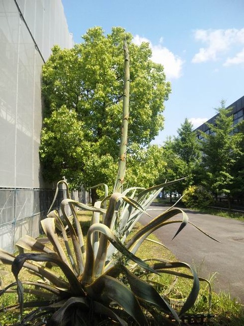 2010-06-02 14-01-30