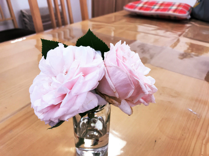 20190508_011013355_iOS