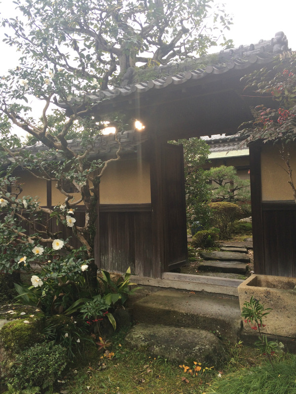 20161119_064015646_iOS
