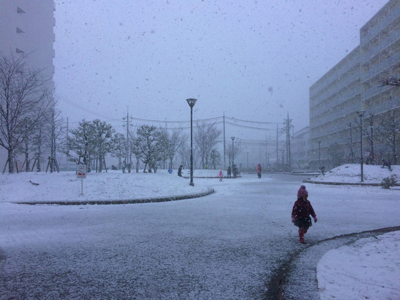 20170115_010130654_iOS