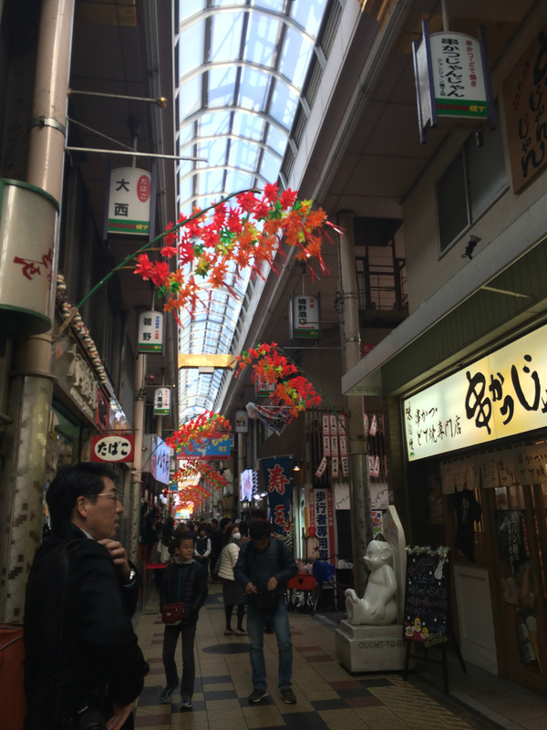20151128_022712187_iOS