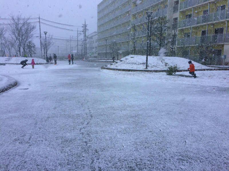 20170115_010158639_iOS
