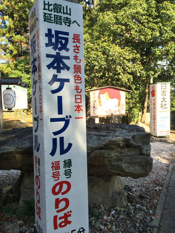 20151214_033138618_iOS