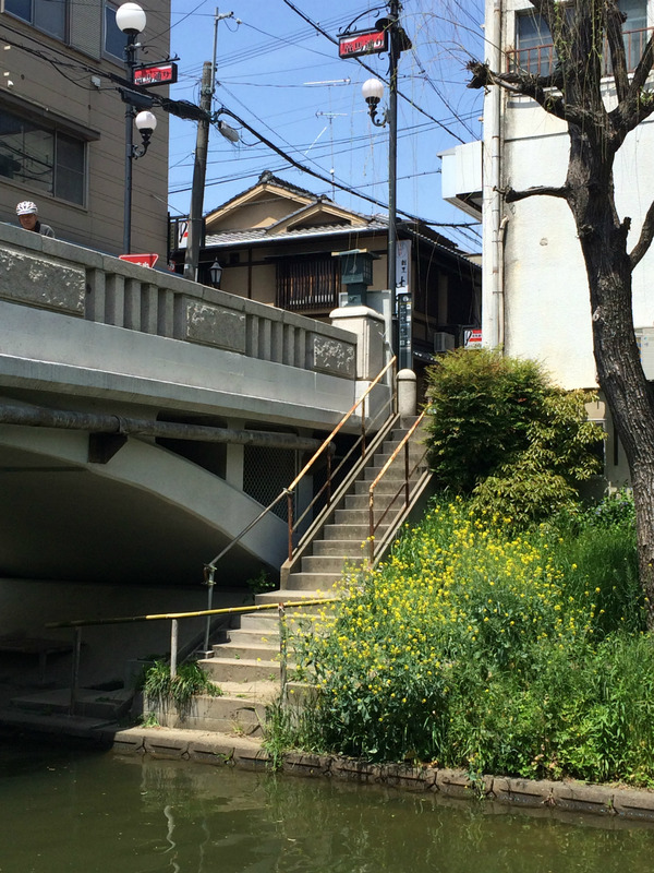 20160426_025843991_iOS