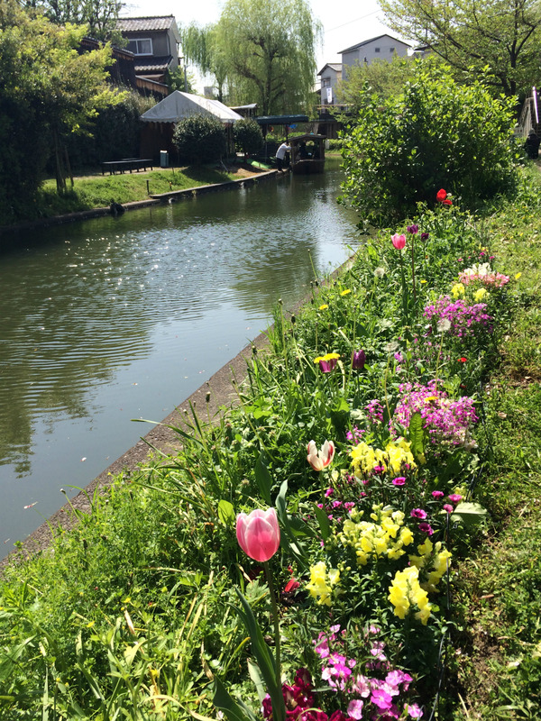 20160419_011901472_iOS