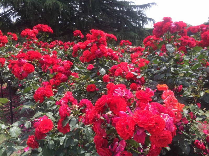 20140602_012946606_iOS