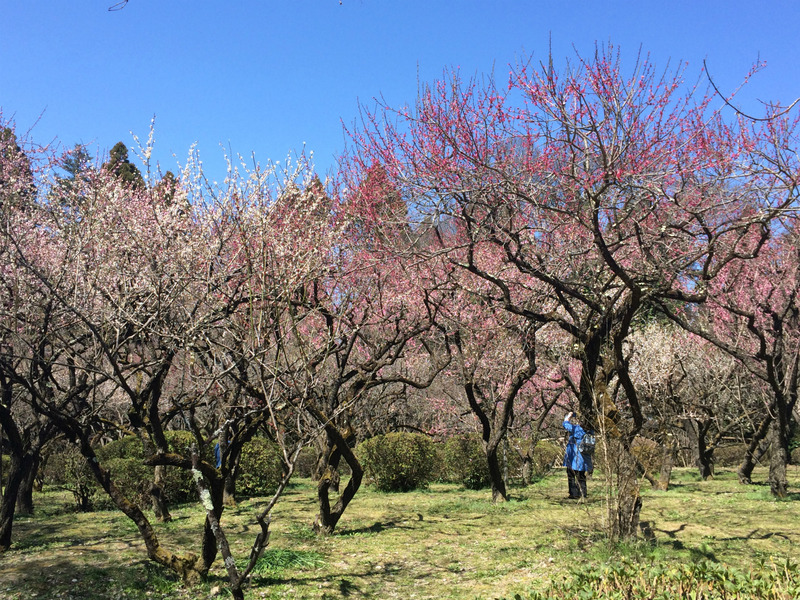 20160317_032150466_iOS
