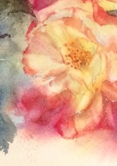 09透明水彩画「野薔薇」 - コピー