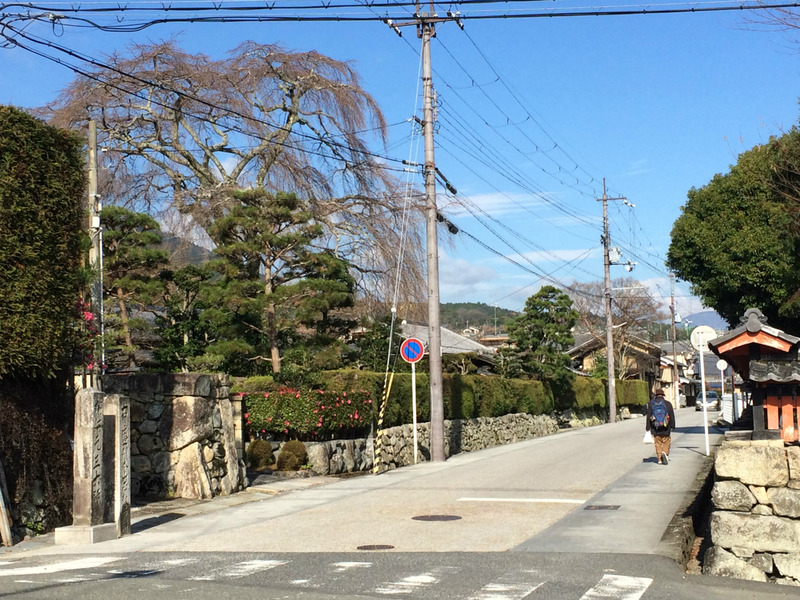 20151214_022518310_iOS
