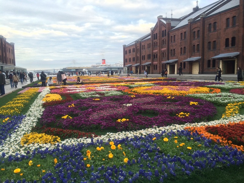 20150411_082609933_iOS