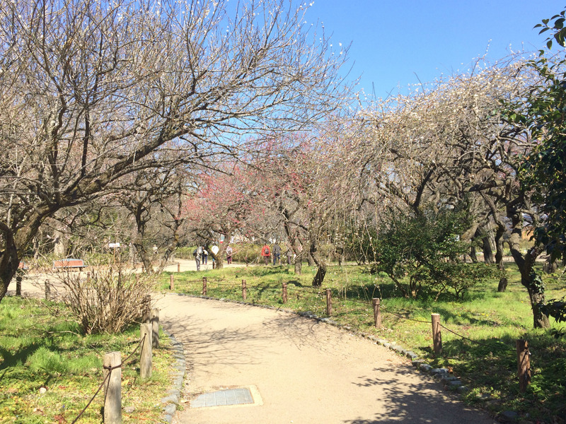 20160317_014708144_iOS