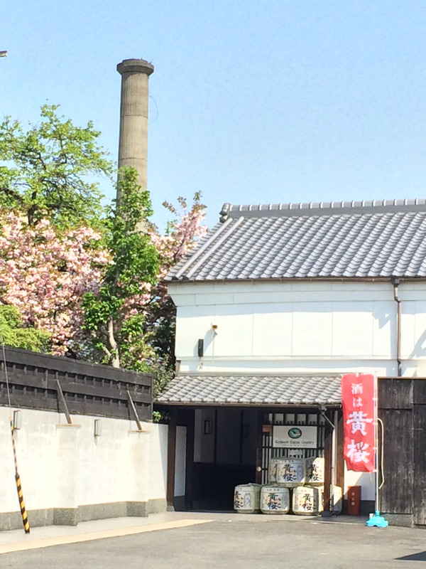 20160419_005111734_iOS