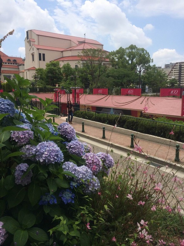 20140609_013447242_iOS