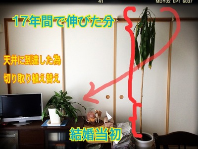 20150529_215104000_iOS