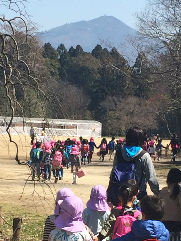20160317_021341730_iOS