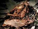 3ad84940.jpg