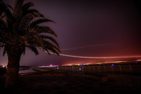 DSC_3994-Edit