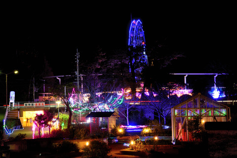 DSC_3341-Edit