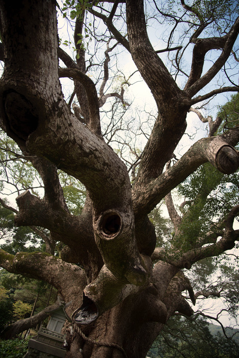 DSC_3381-Edit