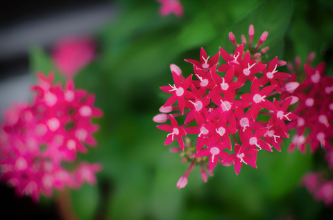 _DSC0672-Edit