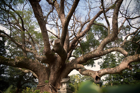 DSC_3379-Edit