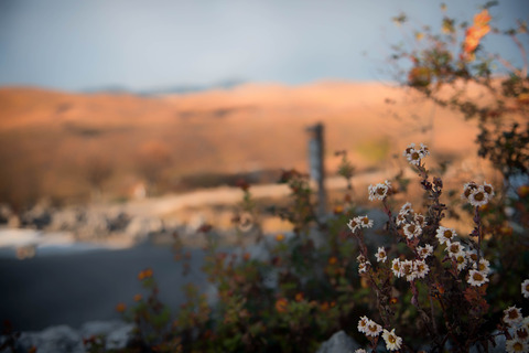 DSC_5298-Edit