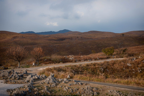 DSC_5266-Edit