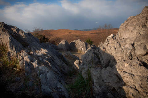 DSC_5272-Edit