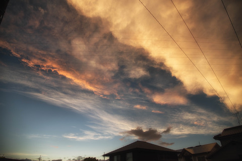 DSC_3067-Edit