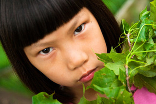 Chinese kid 2