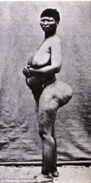 Hottentot 6