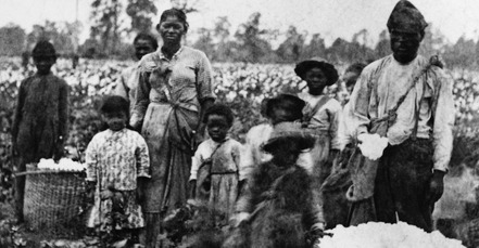 Blacks, plantation 1