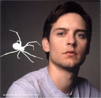 Tobey Maguire 6