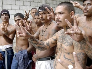 Hispanic gangs 6