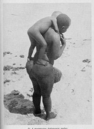 Hottentot 3