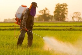Roundup 2