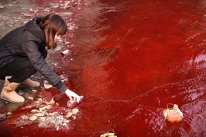 China water pollution 1