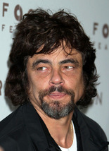 Benicio Del Toro 2