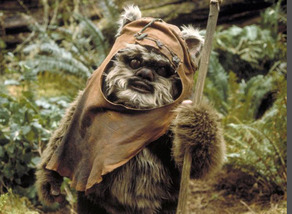 Star Wars Ewok 1