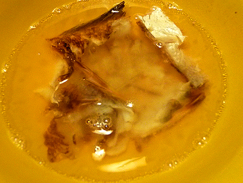 ぐじとお湯