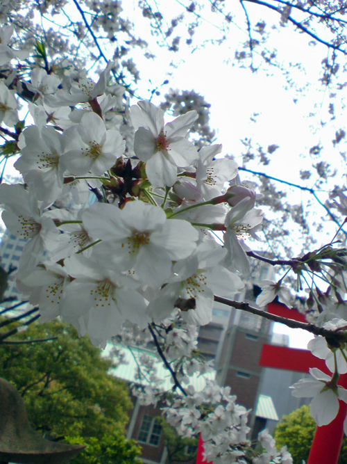 20090407160716